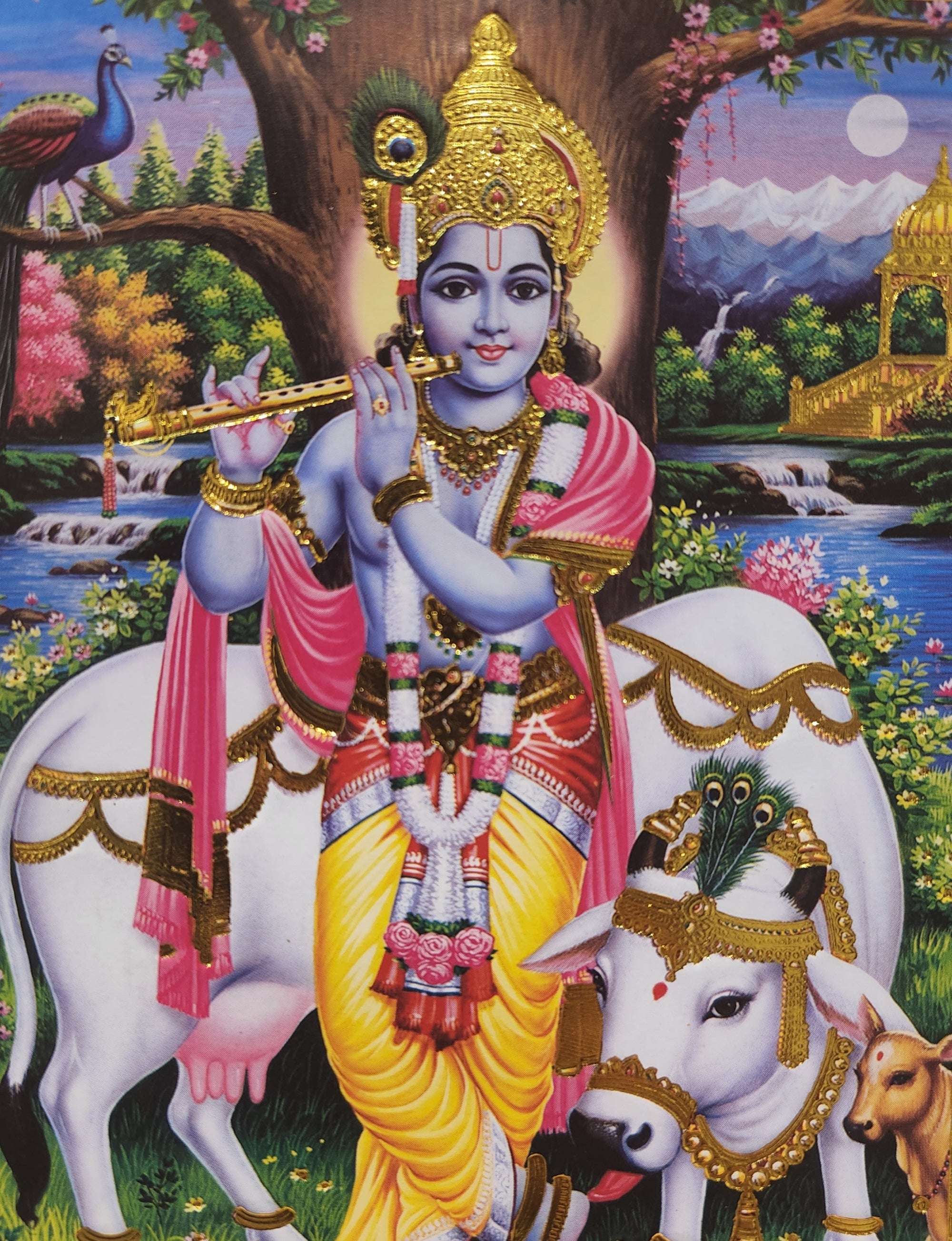 JANMASHTAMI