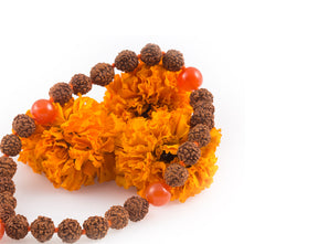 Japa Carnelian Hand Mala